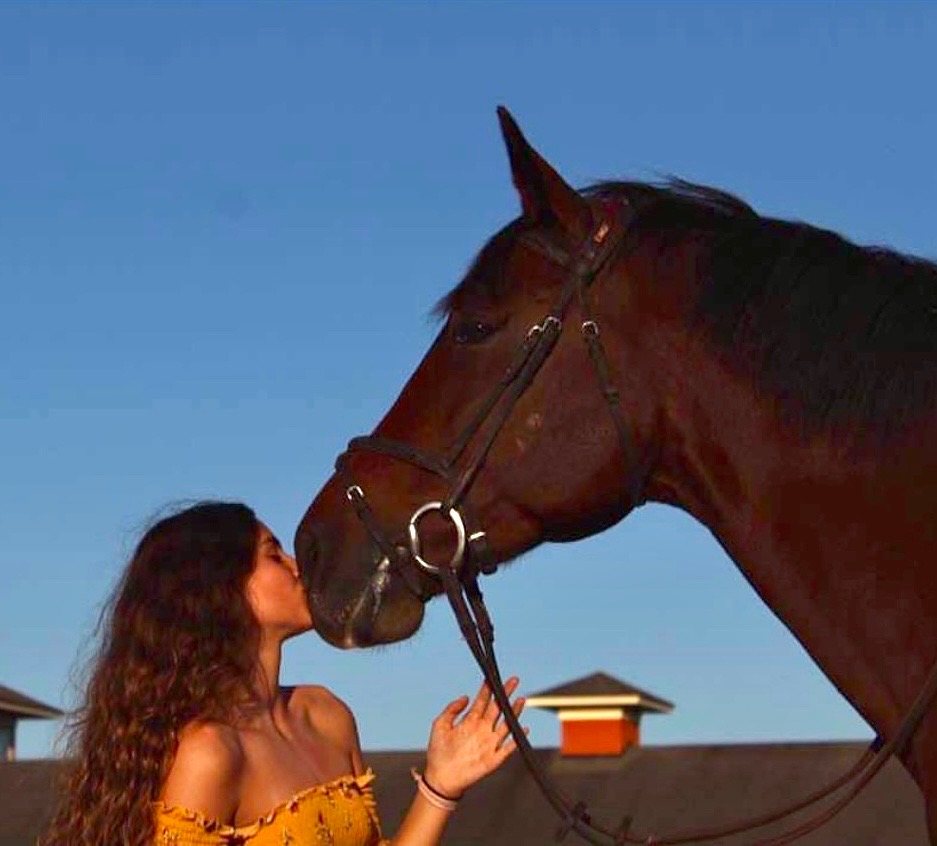 Horse Evaluations
