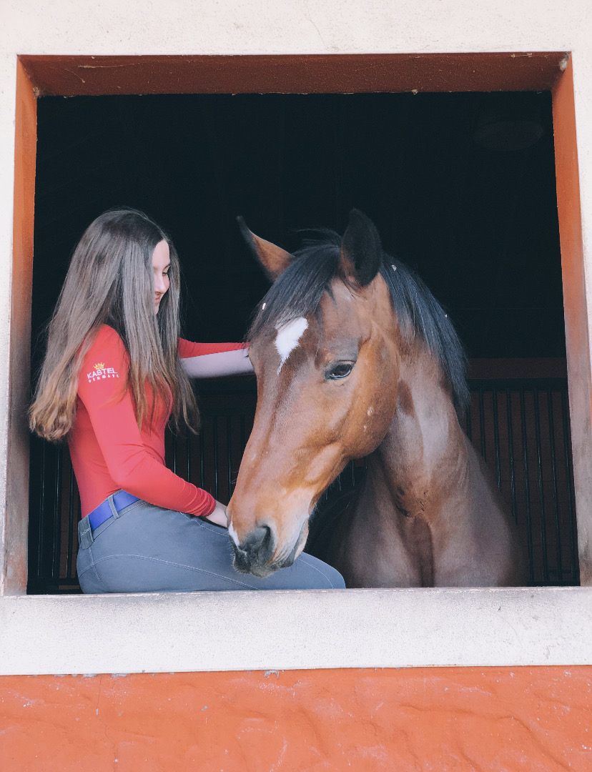 Young Horse Development