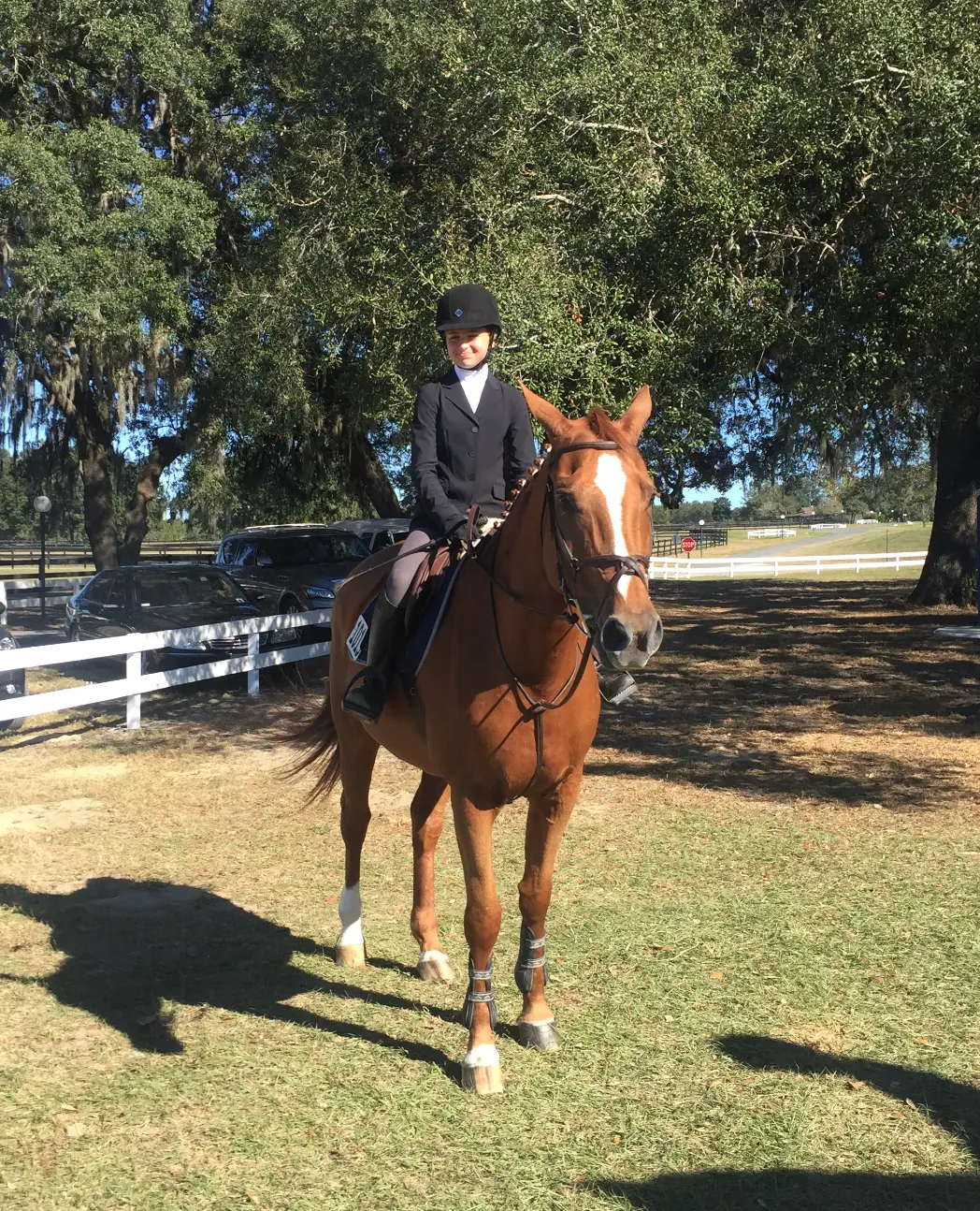 A young Sophia mounted in show attire under the oaks