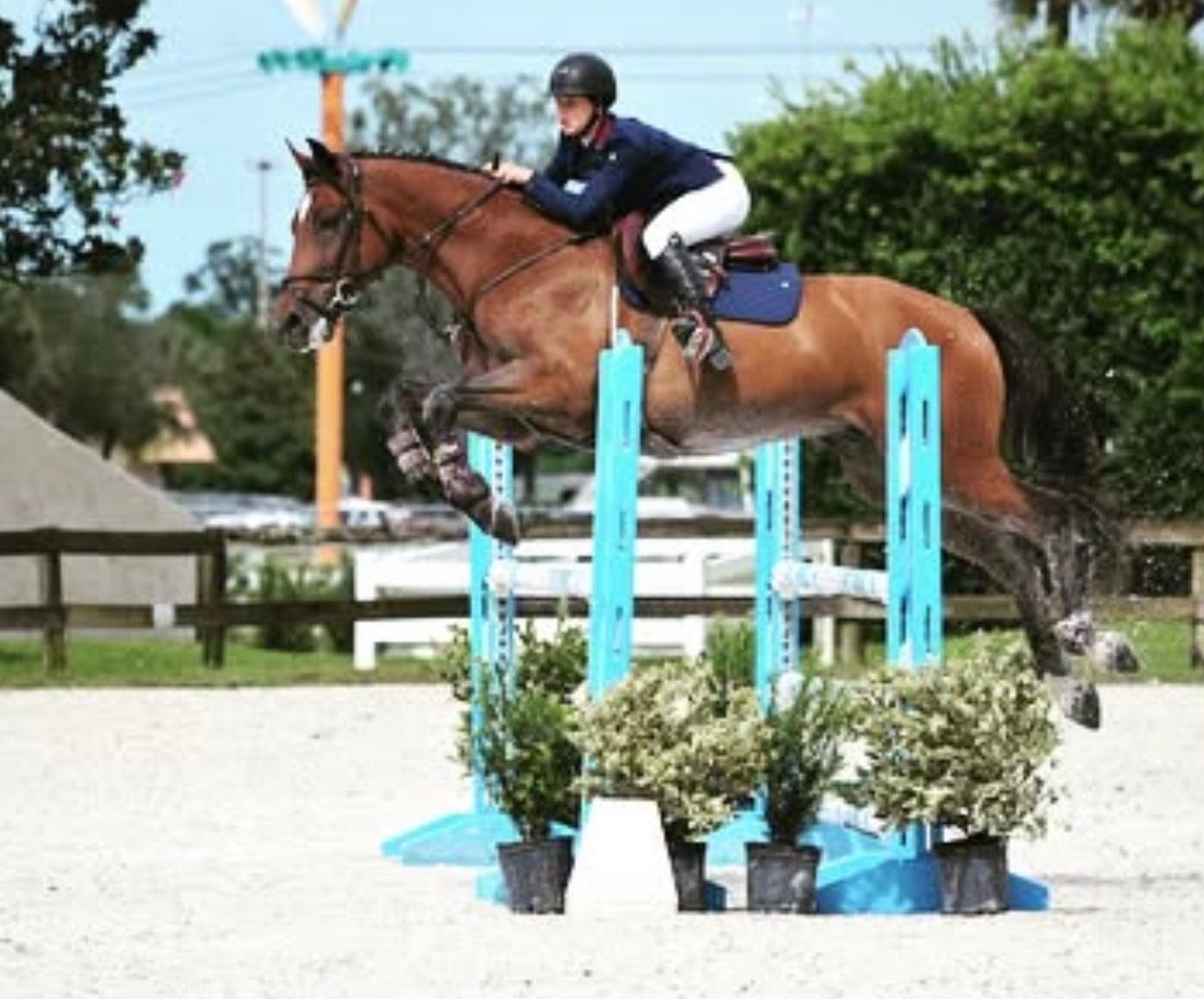 Show ring competition